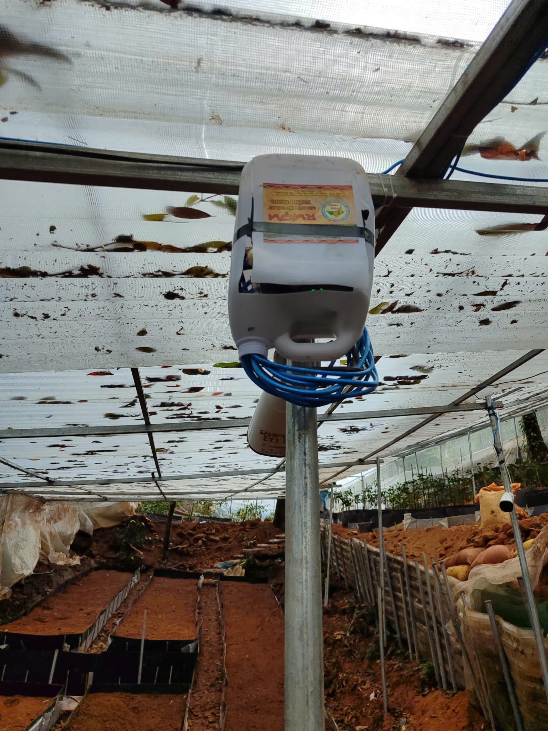 Gallery image 6